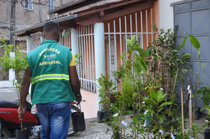 Feira Mais Verde leva distribuição de mudas e educação ambiental aos distritos de Feira de Santana