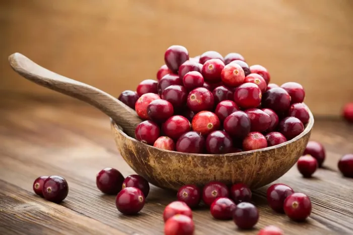 Cranberry Institute