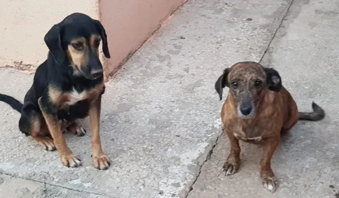 Autor da Foto:Reprodução