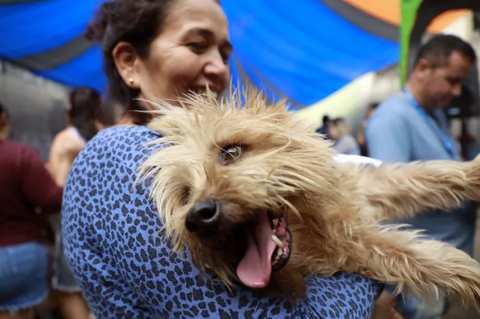 Serão vacinados cães e gatos de todos os tamanhos e pesos - Marcos de Paula / Prefeitura do Rio