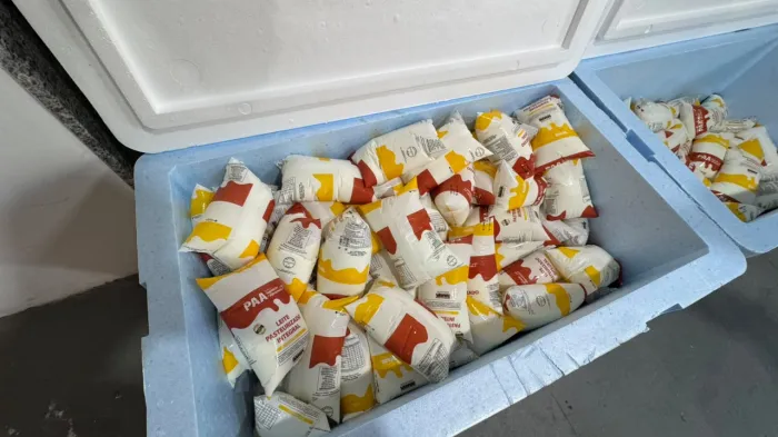 6/8/2026 - Prefeitura de Lauro de Freitas realiza entrega semanal de 3 mil litros de leite para entidades socioassistenciais