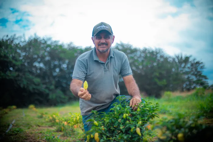 Aplicativo PVH+ disponibiliza Cadastro Municipal do Produtor Rural e amplia acesso aos serviços 