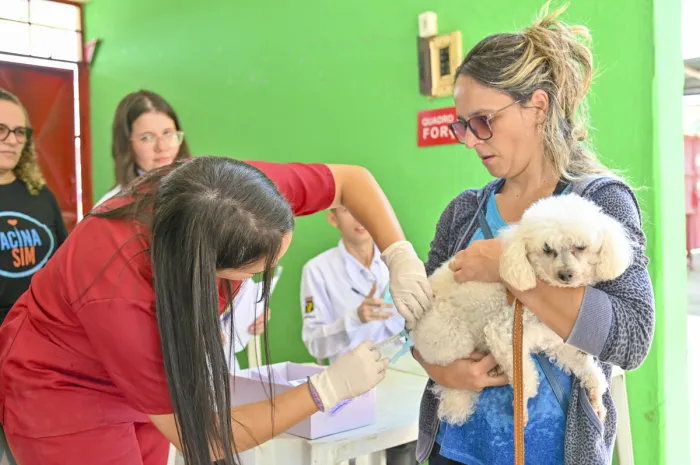 Vacinação antirrábica será realizada neste sábado na Praça Nossa Senhora dos Verdes