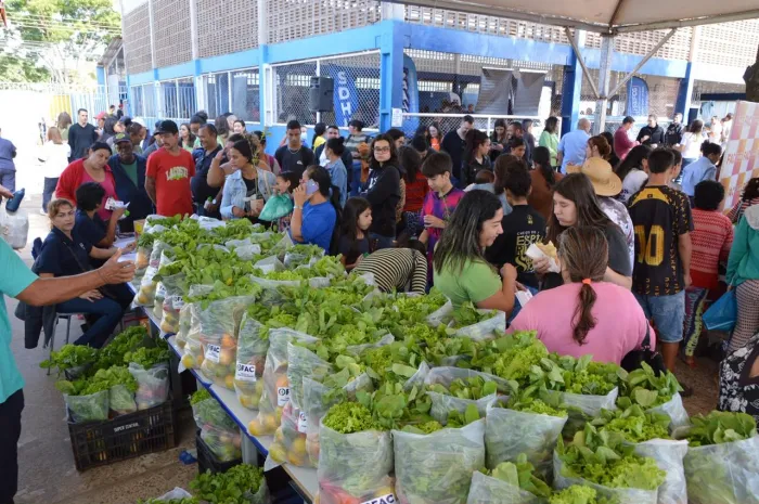 Foto: Reprodução/Prefeitura de Campo Grande - MS