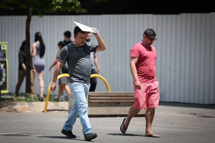 Defesa Civil alerta para onda de calor e riscos de incêndios florestais no Estado de São Paulo