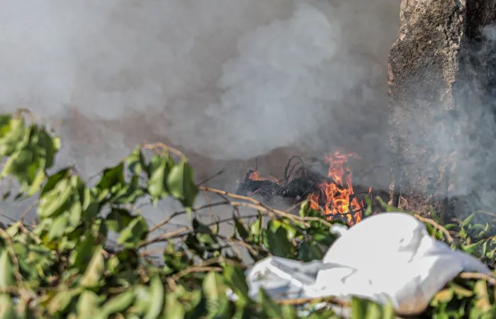 Queimadas não afetam apenas o meio ambiente, mas também agravam problemas de saúde