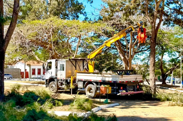 Prefeitura mantém trabalhos de limpeza em toda a cidade com mutirões, poda de árvores e serviços destinados aos bairros