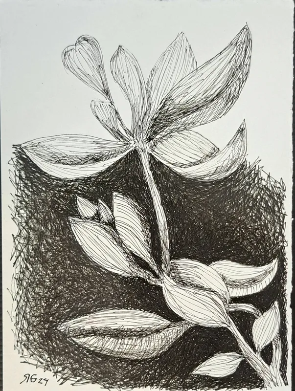 Exposição “UNA”, de Roberto Galvão, reúne obras em Fortaleza
