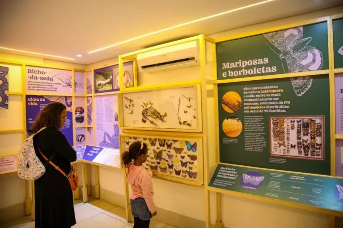 Planeta Inseto: conheça a exposição científica gratuita na zona sul de SP
