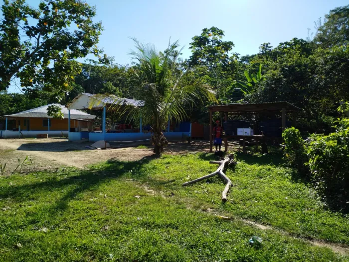 Foto: Reprodução/Prefeitura de Porto Velho - RO