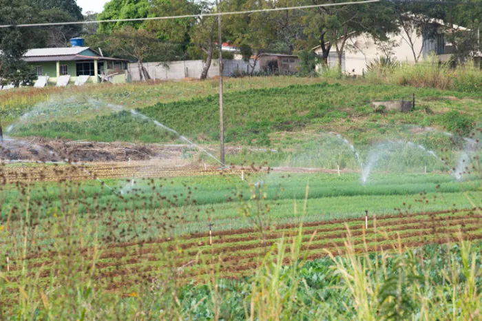 Sessão solene prestará homenagem ao Dia do Produtor Rural