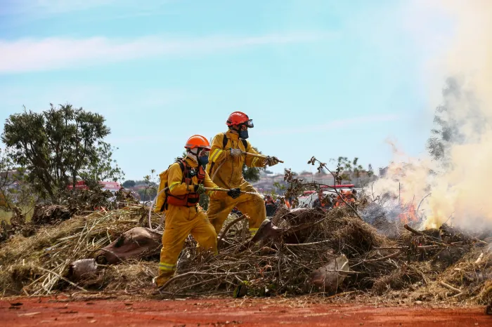 A combinação de massa de ar quente e seco, baixa umidade relativa e vegetação ressecada cria o cenário mais favorável à ocorrência de incêndios florestais Foto: Divulgação/Governo de SP