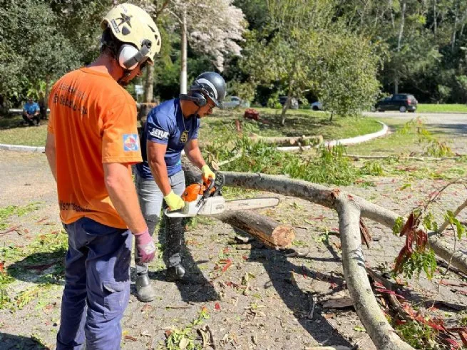 Foto: Reprodução/Prefeitura de São Sebastião - SP