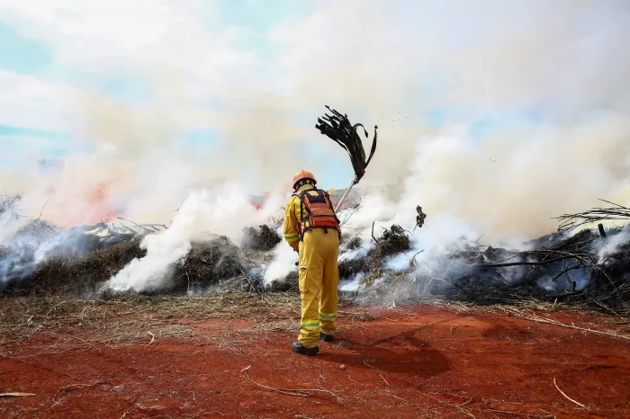 Alta temperatura e baixa umidade fazem Defesa Civil emitir alerta para risco de incêndio no interior de São Paulo