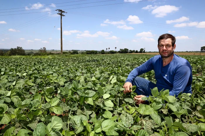 Crédito Rural: conheça os programas de financiamento e saiba como solicitar