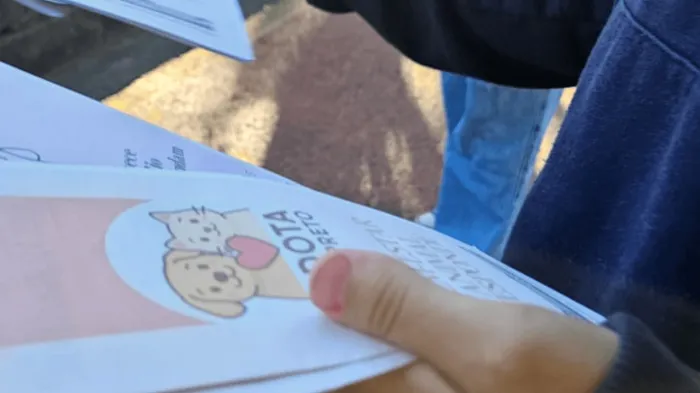 Adolescentes atendidos pelo Creas desenvolvem projetos sociais