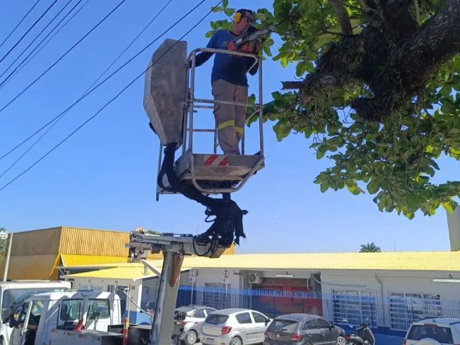 Prefeitura intensifica ações preventivas em São Sebastião por conta dos alertas de fortes ventos