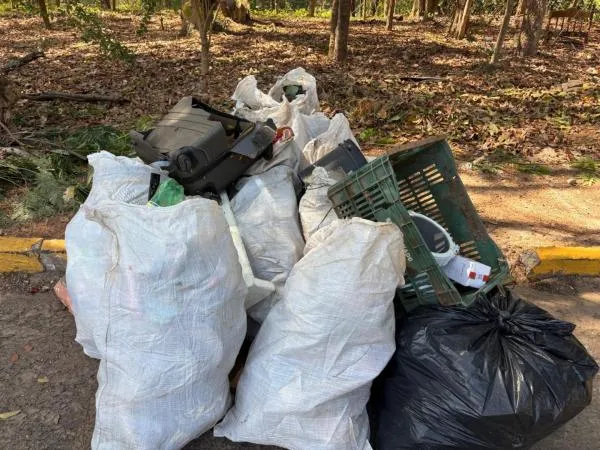 Prefeitura limpa área de preservação e reforça cuidado com a limpeza urbana