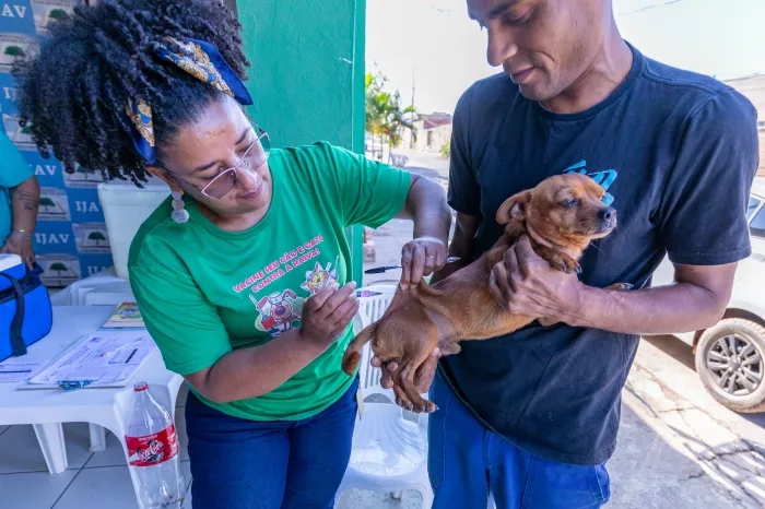 Prefeitura promove vacinação antirrábica neste sábado durante Dia D da Multivacinação