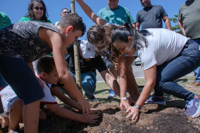 Arboriza Lauro leva nova estrutura à Praça Dodô e Osmar, em Ipitanga