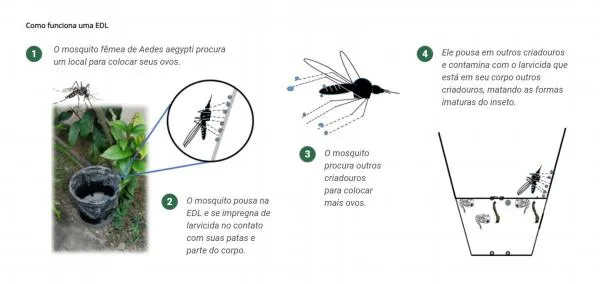 Foto: Reprodução/Prefeitura de Sorriso - MT