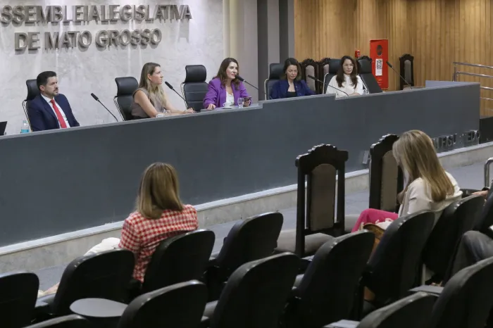 Capacitação reforça atuação integrada no combate à violência contra a mulher