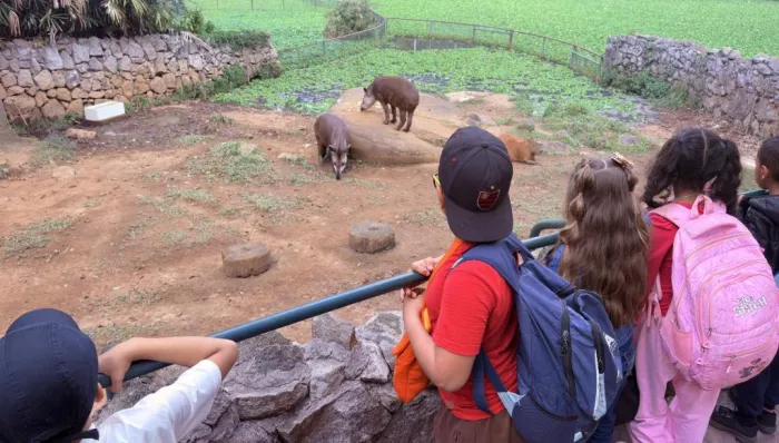 Secretaria de Educação de Atibaia leva quase 1,8 mil alunos do 2º ano ao Zoológico de São Paulo em expedição pedagógica