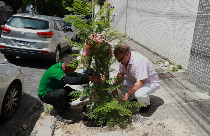 Amor por Belém inspira moradores a plantar novas árvores pela cidade