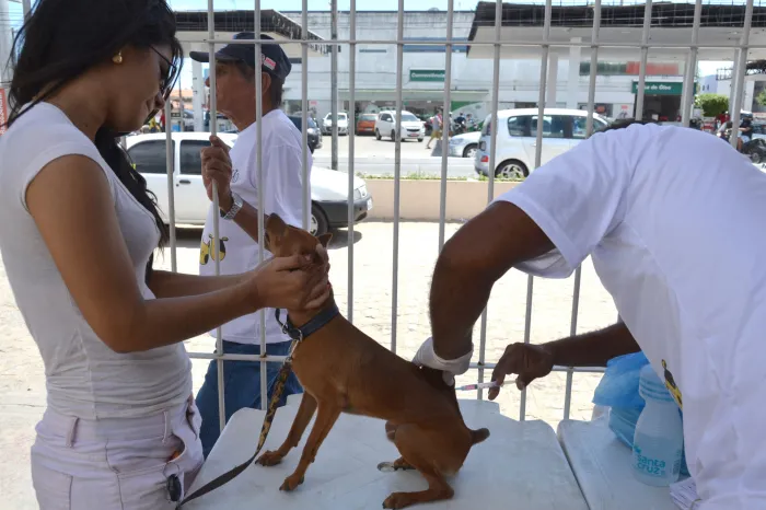 Foto: Reprodução/Prefeitura de João Pessoa - PB