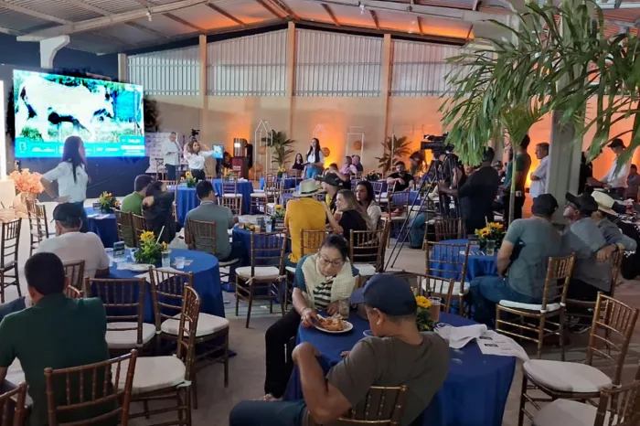 Expofeira 2026: Leilão da Fazenda Jacuricy terá 240 bovinos Nelore de alta linhagem