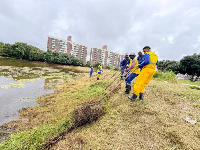 31/8/2026 - Força-tarefa promove limpeza e recuperação do entorno da Lagoa do Parque das Aves