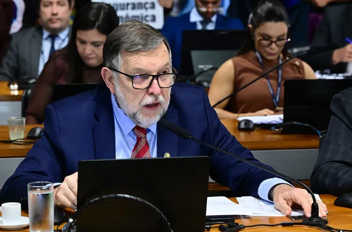 O senador Flávio Arns leu o relatório da senadora Dra. Eudócia - Foto: Geraldo Magela/Agência Senado