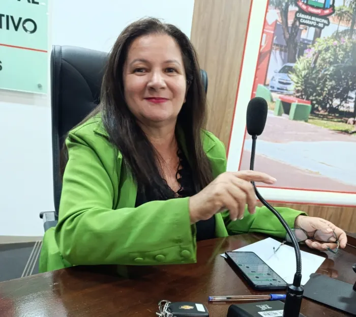 Foto: Reprodução/Câmara de Caarapó - MS