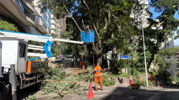 A zeladoria coordenada pela Subprefeitura da Zona Sul inclui serviços como poda de árvores - Jonas Monteiro / Subprefeitura da Zona Sul 