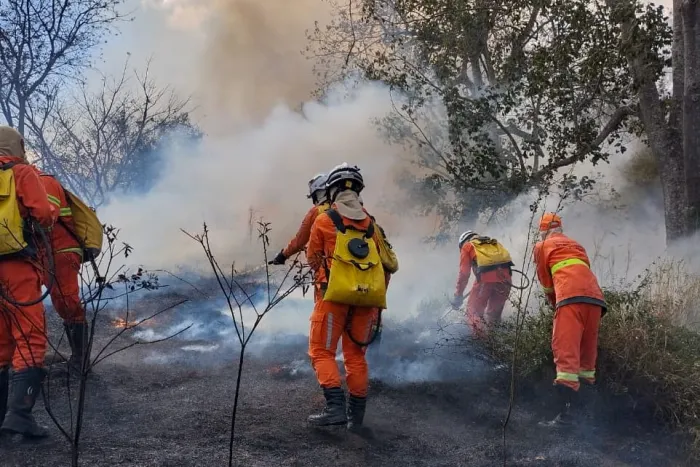 Vitória da Conquista cria comitê de prevenção, controle e combate aos incêndios florestais