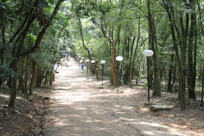 Parques Urbanos de SP têm programação especial de educação ambiental no feriado de 7 de Setembro