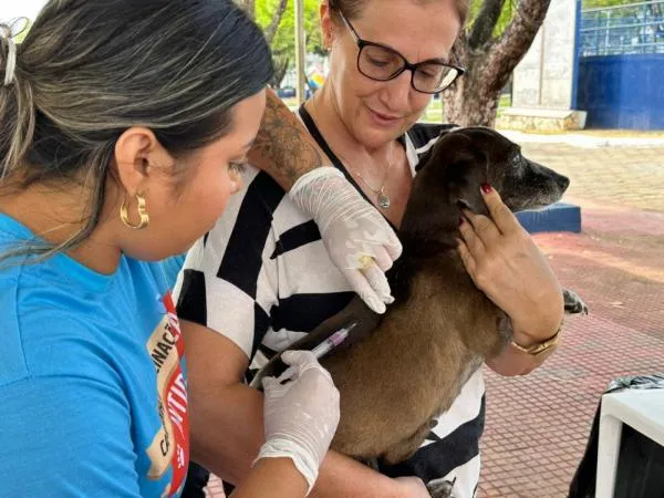 Foto: Reprodução/Prefeitura de Sorriso - MT