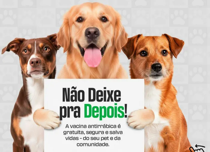 Primavera do Leste realiza campanha de vacinação antirrábica para cães e gatos em setembro