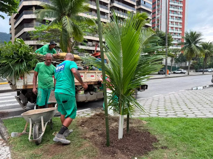 Planta+Rio promove o replantio de 18 árvores em São Conrado