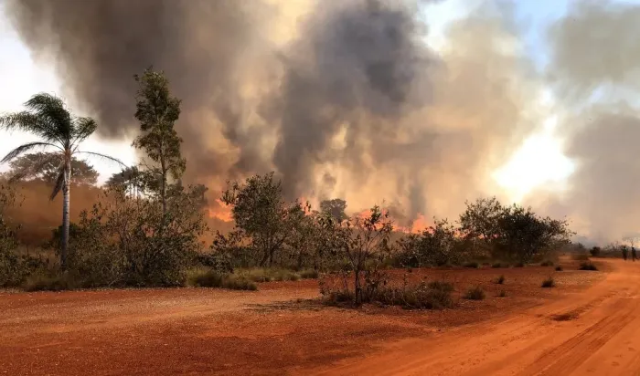 Quanto mais alta a vegetação ao redor e maior o risco de incêndio no local, mais larga deve ser a faixa. Foto: Divulgação/Governo de SP