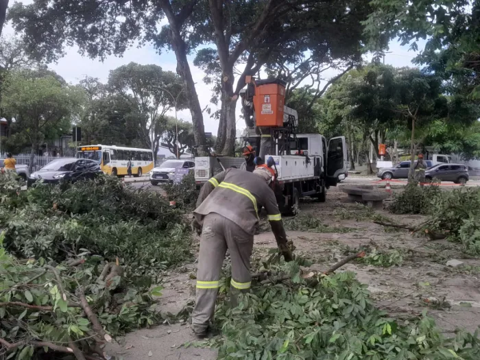 Sezel intensifica poda preventiva de árvores no percurso do Círio