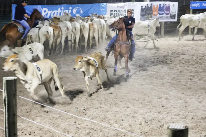 Foto: Reprodução/Prefeitura de Feira de Santana - BA