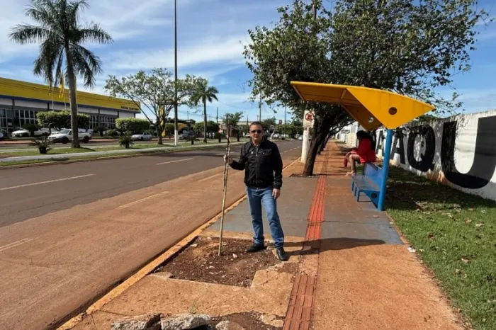 Após fiscalização de Inspetor Cabral, MP cobra esclarecimentos sobre contratos de arborização em Dourados