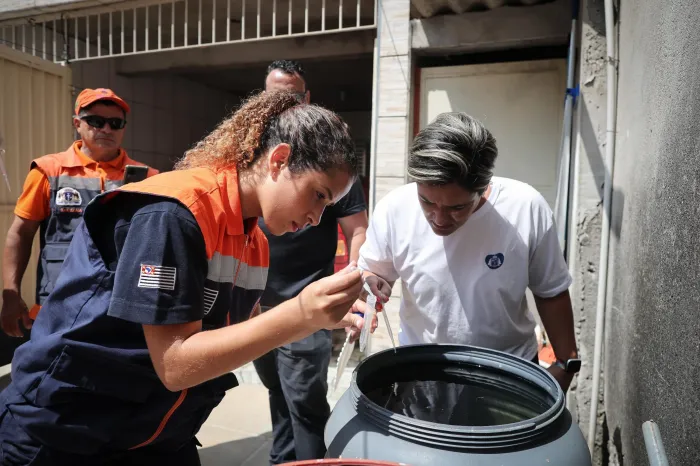 Veja mitos e verdades sobre dengue e outras arboviroses