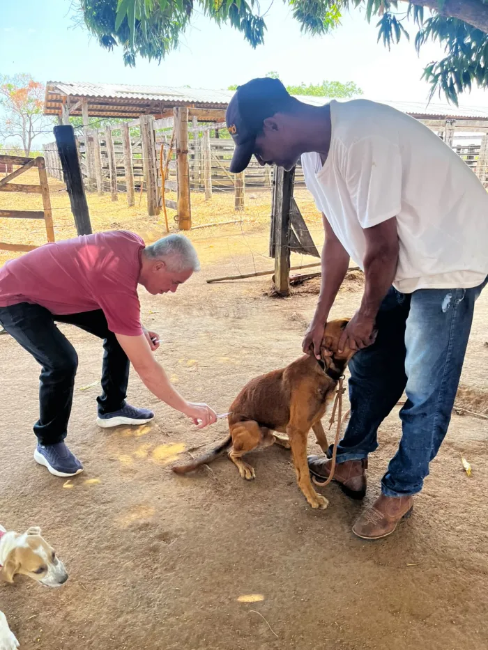 Foto: Reprodução/Prefeitura de Gurupi - TO