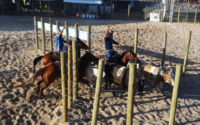 Com apoio da Prefeitura, circuito baiano de Team Penning encerra temporada com sucesso na Expofeira