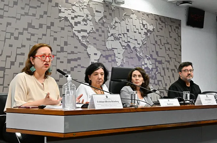 Cristiane Oliveira Reimberg, da Fundacentro, apresenta os resultados da pesquisa - Foto: Waldemir Barreto/Agência Senado