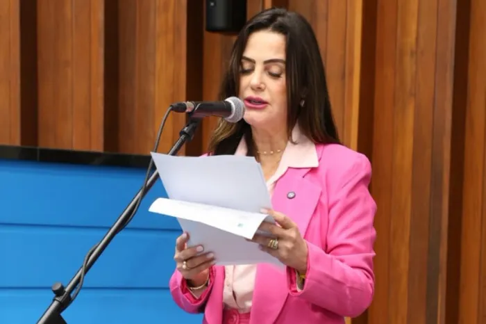 Mara Caseiro solicita ao Governo do Estado recursos para construção de ponte entre bairros