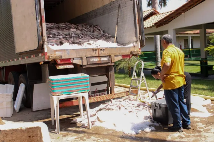 Foto: Reprodução/Prefeitura de Marabá - PA