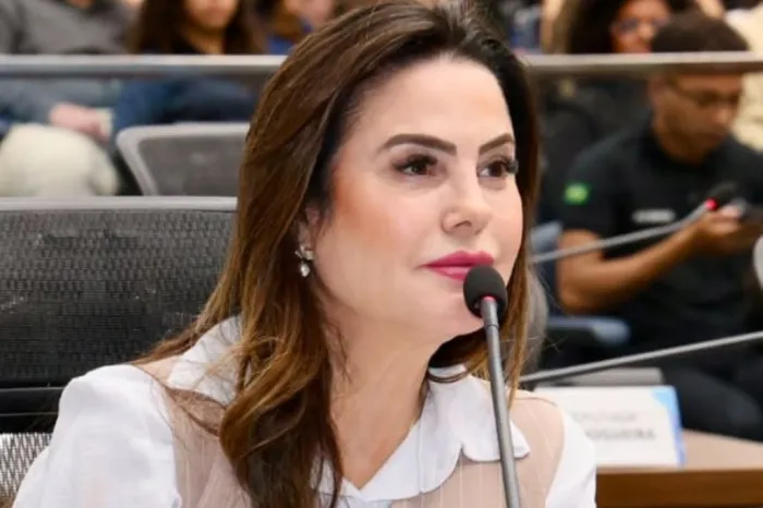 Segurança viária: Mara Caseiro indica sinalização e lombadas para a MS-223